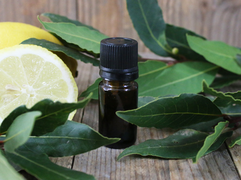 Barrière fortifiante en voie orale